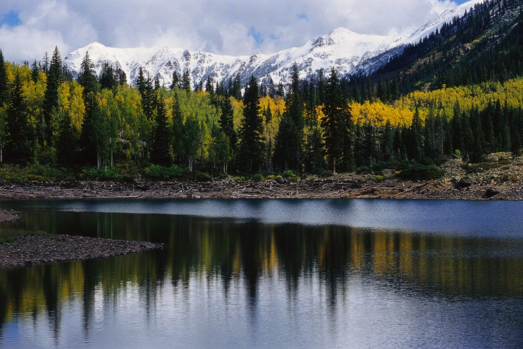 Detail of Autumn Trees on Mountain Lake by Anonymous