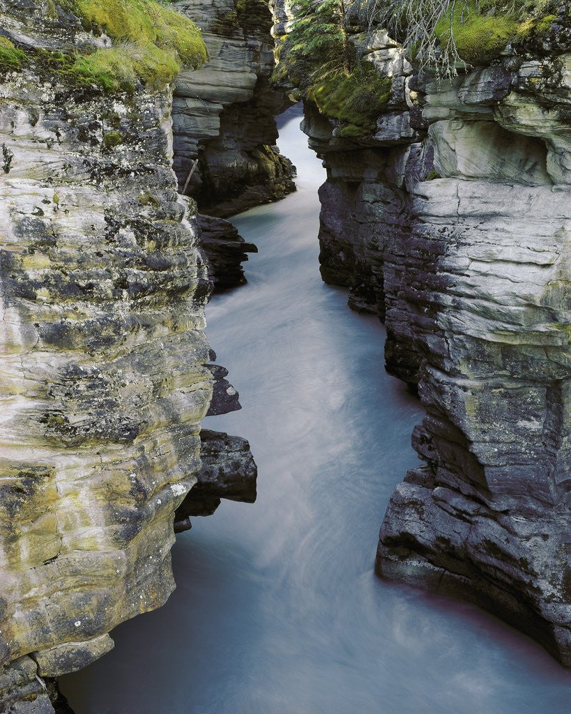 Detail of Athabasca River by Anonymous