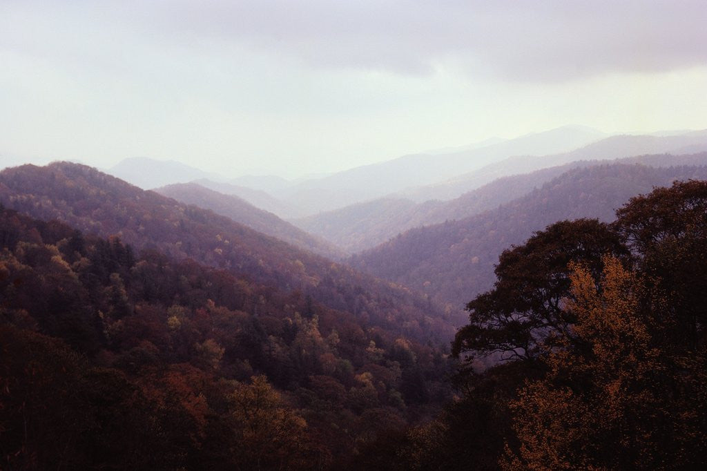Detail of Smoky Mountains in the Mist by Corbis