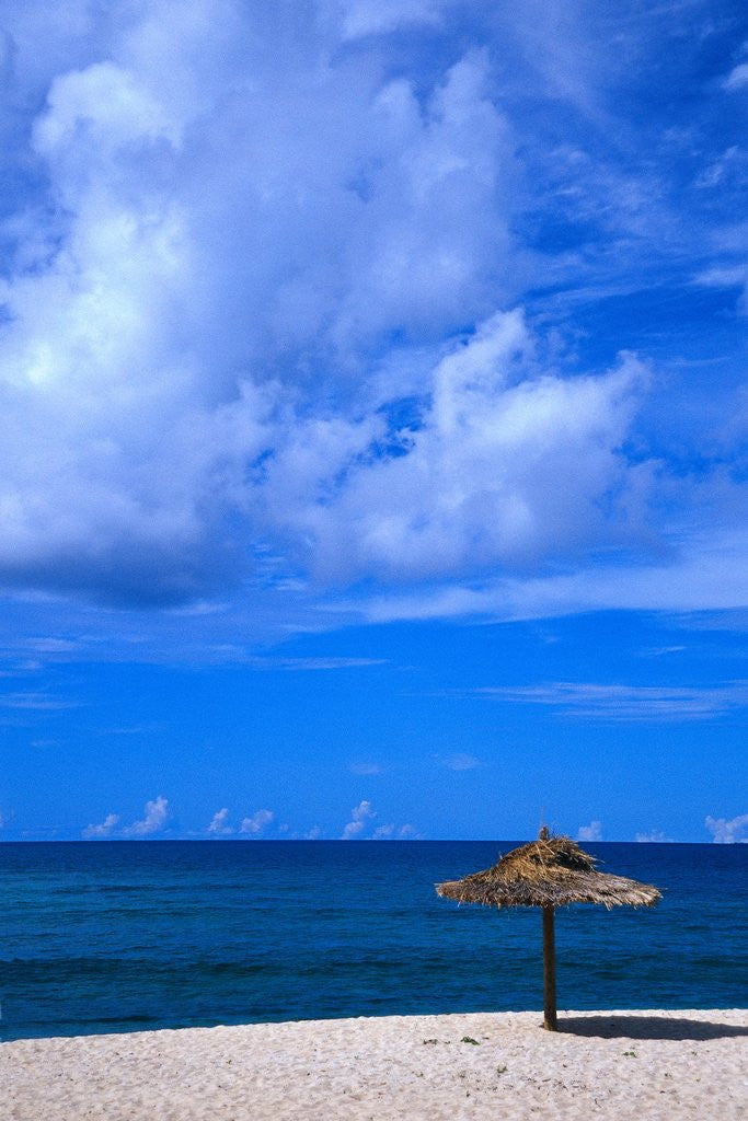 Detail of Umbrella on a Beach by Anonymous