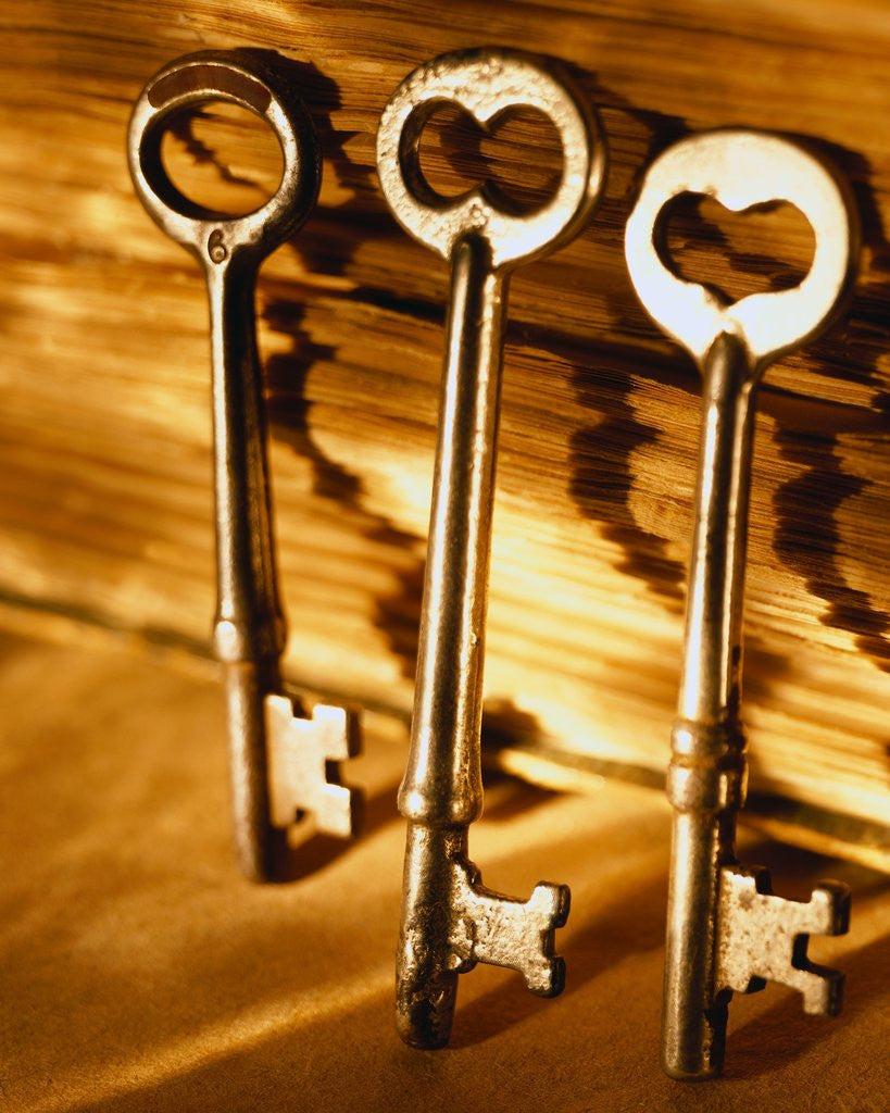 Detail of Vintage Keys by Anonymous