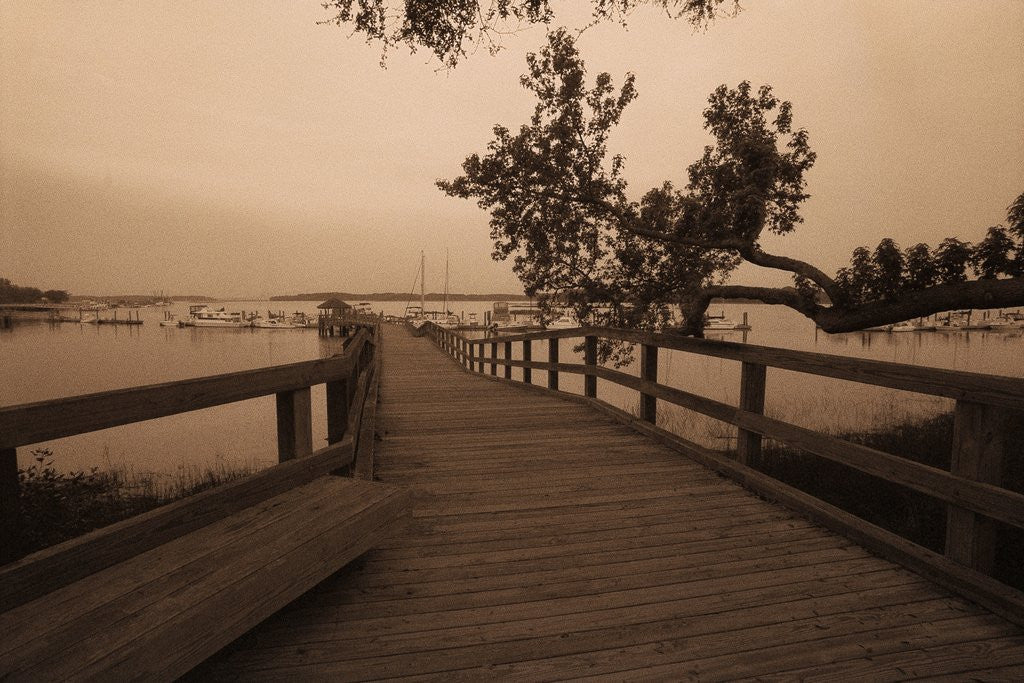 Detail of Bridge Leading to Pier by Anonymous
