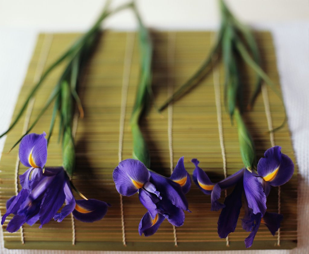 Detail of Purple Irises on a Bamboo Mat by Anonymous