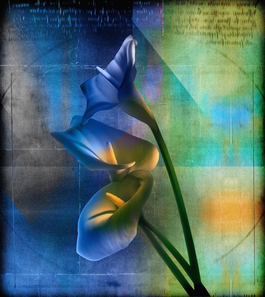 Detail of Calla Lilies and Colorful Patterns by Anonymous