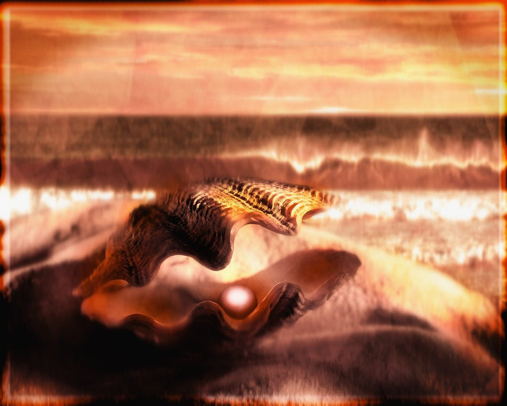 Detail of Pearl in Oyster by Anonymous