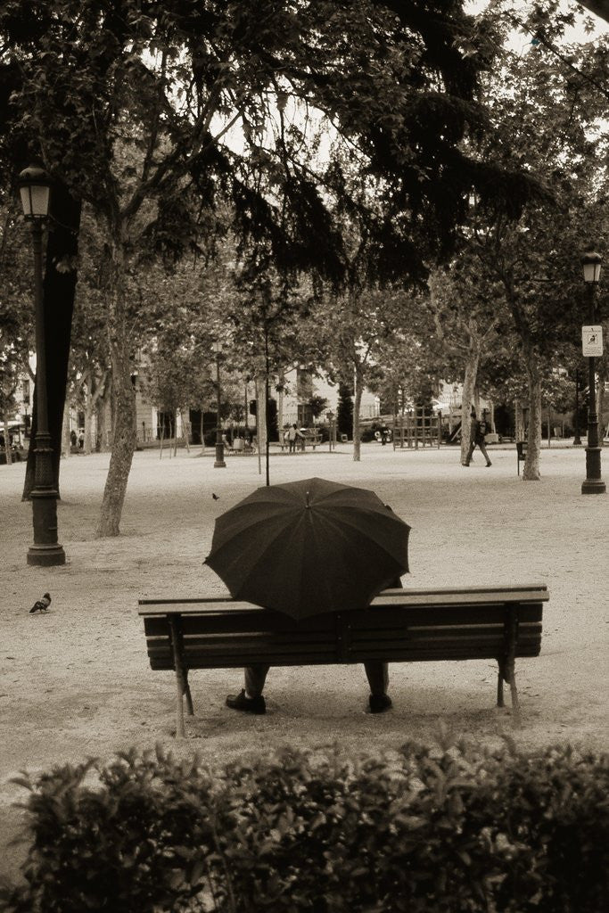 Detail of Person Under Umbrella at Madrid Park by Anonymous