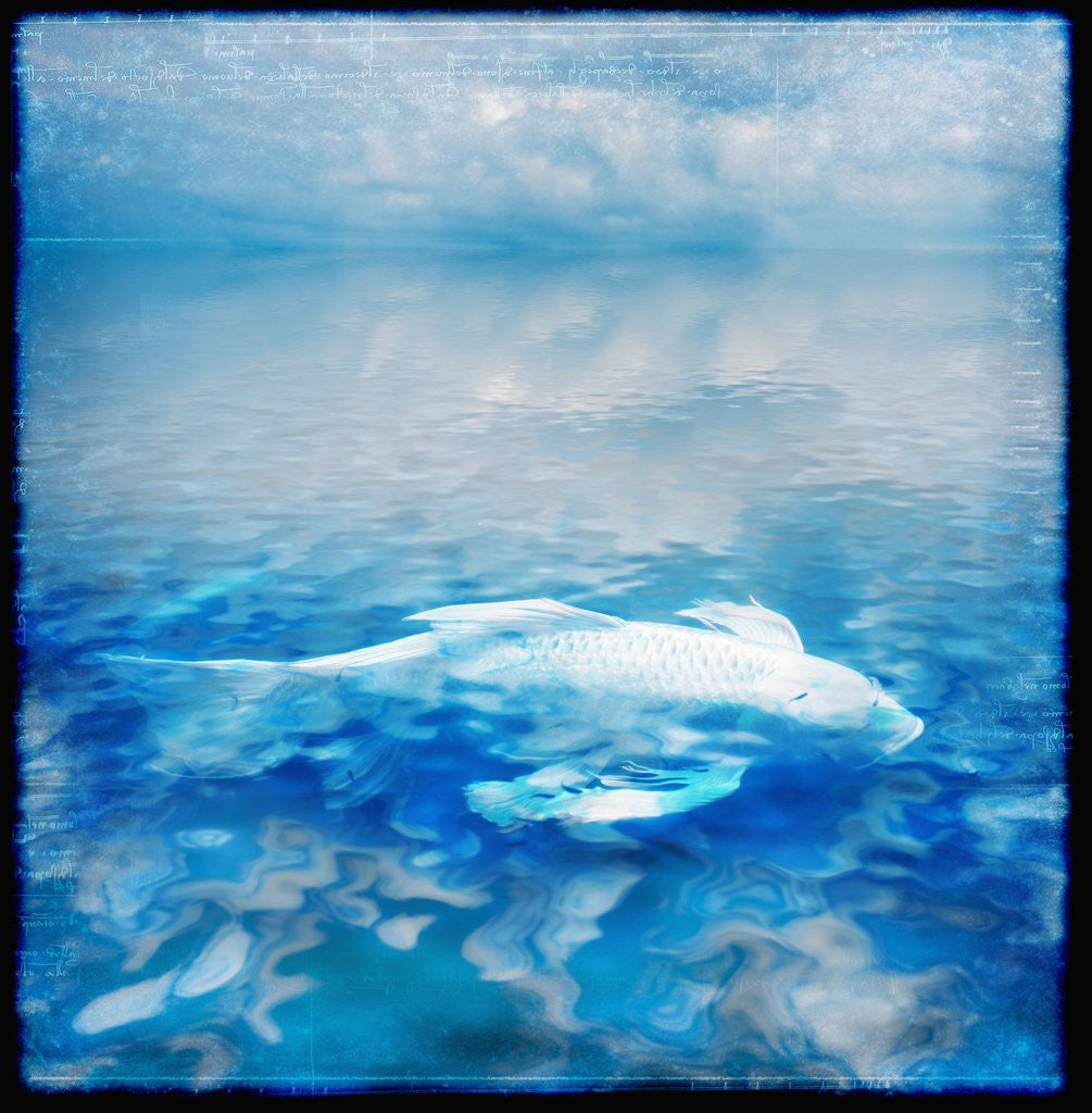 Detail of Koi and Water Reflections by Anonymous