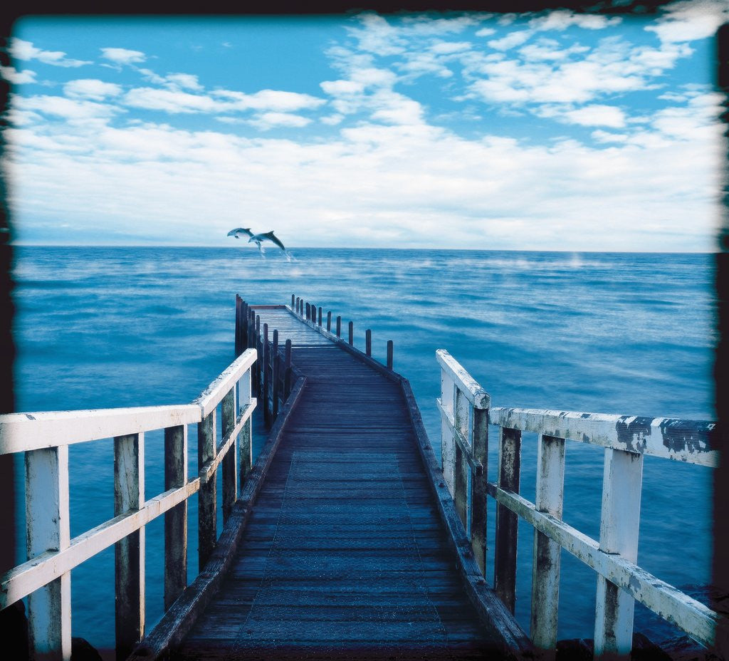 Detail of Pier and Dolphins by Anonymous