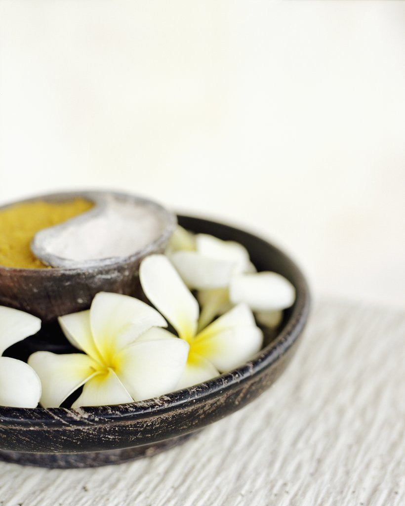 Detail of Aromatherapy Bowl of Flowers by Anonymous