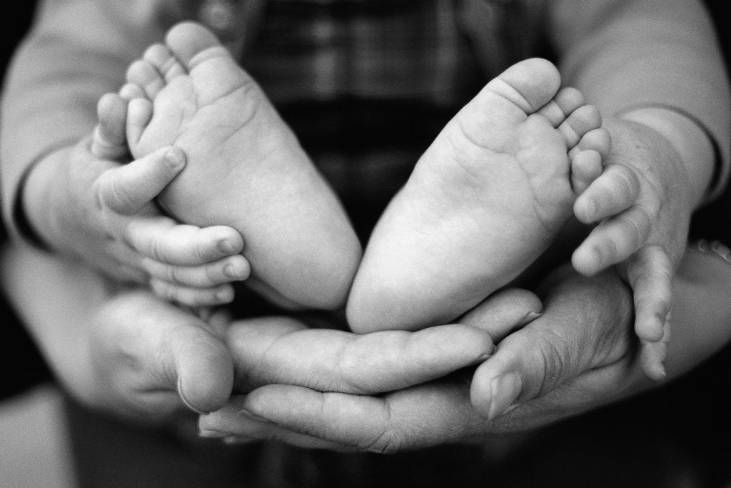 Detail of Parent and Baby's Hands and Feet by Anonymous