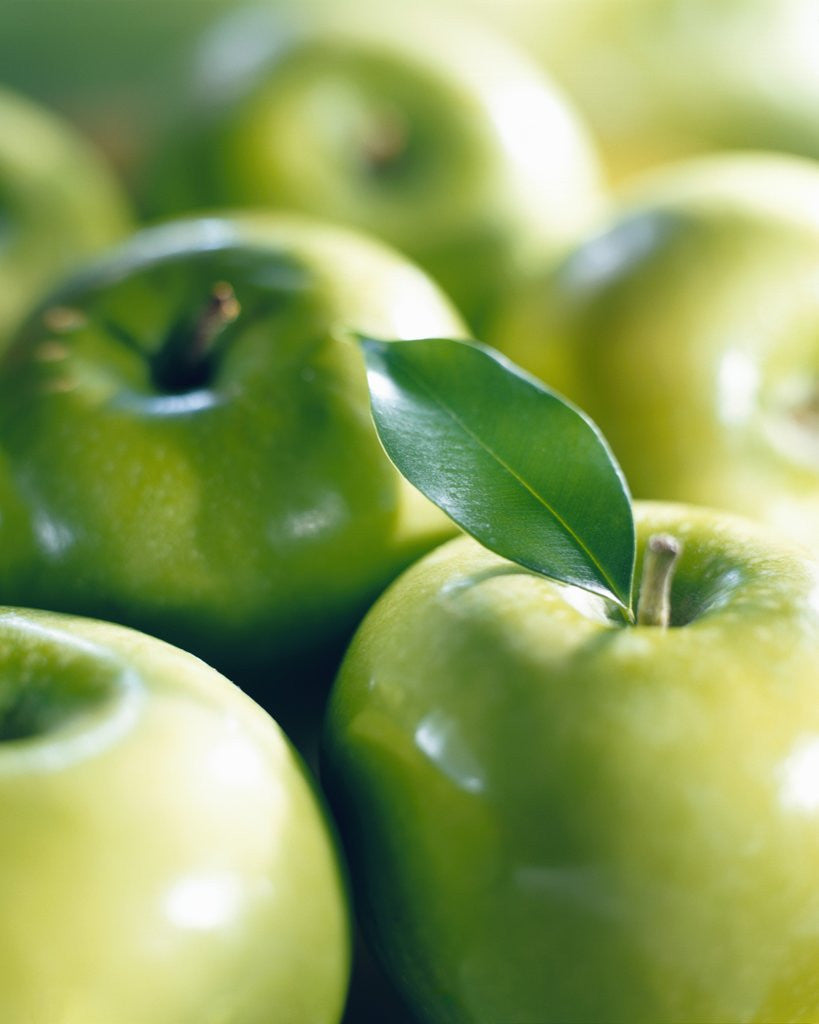 Detail of Bunch of Green Apples by Anonymous