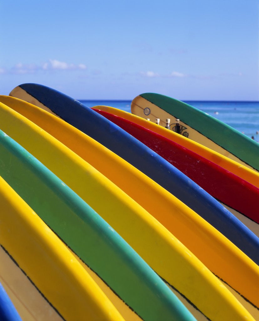 Detail of Row of Surfboards at Beach by Corbis