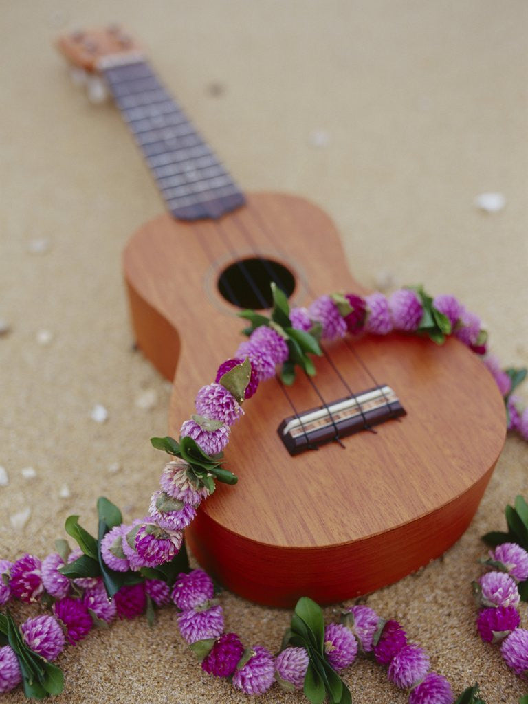 Detail of Ukelele and garland, elevated view by Corbis