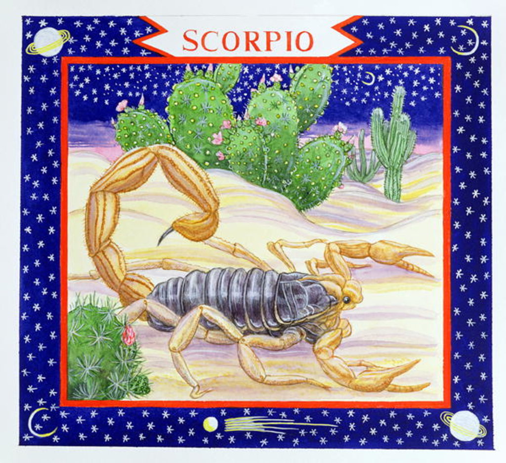 Detail of Scorpio by Catherine Bradbury