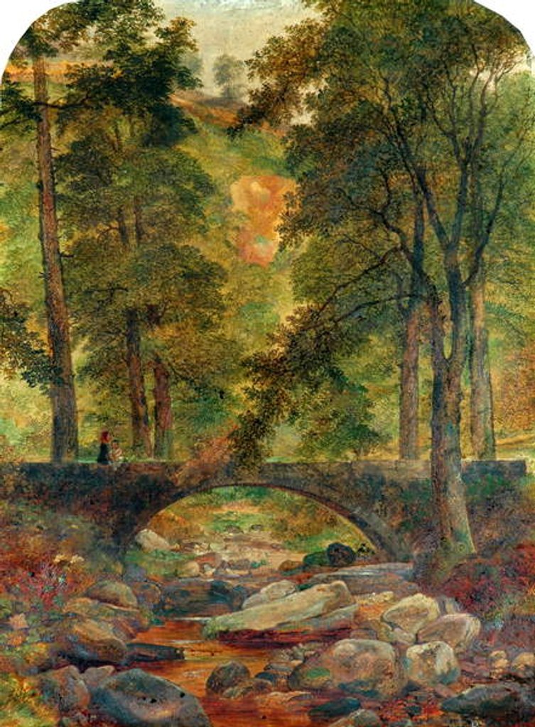 Detail of Hardcastle Craggs, 1850 by Samuel Baldwin