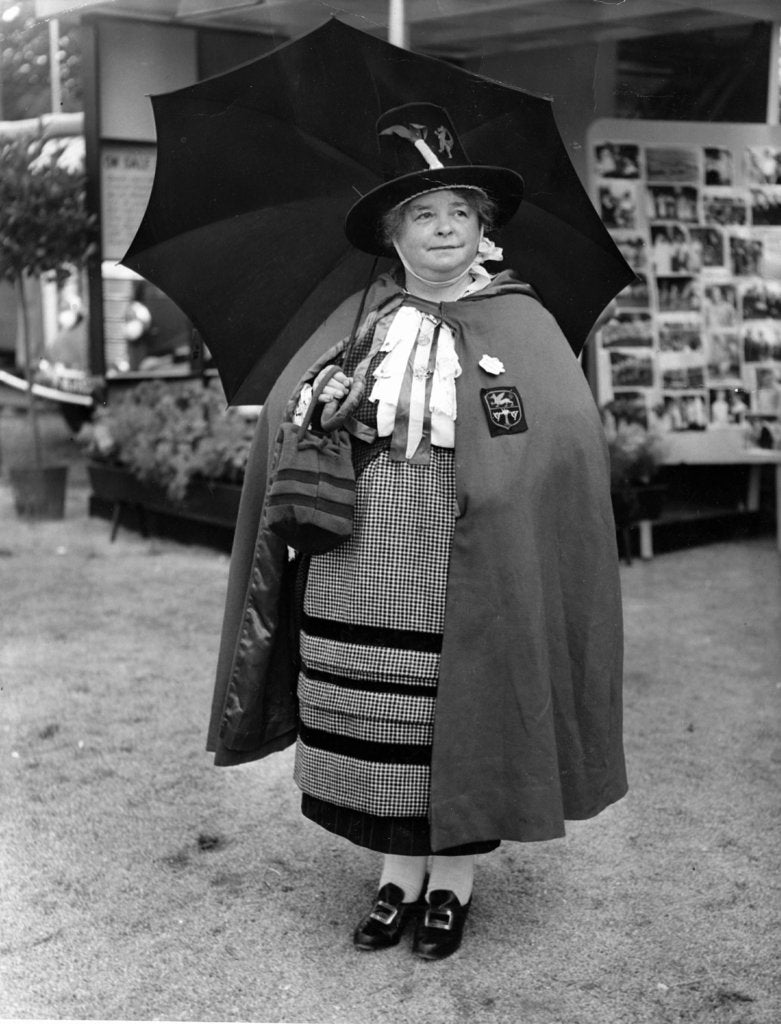 Detail of St David's Day by Anonymous