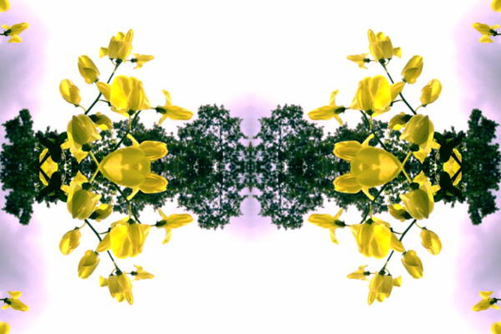 Detail of Unnatural 151.2 by Giovanni Cafagna