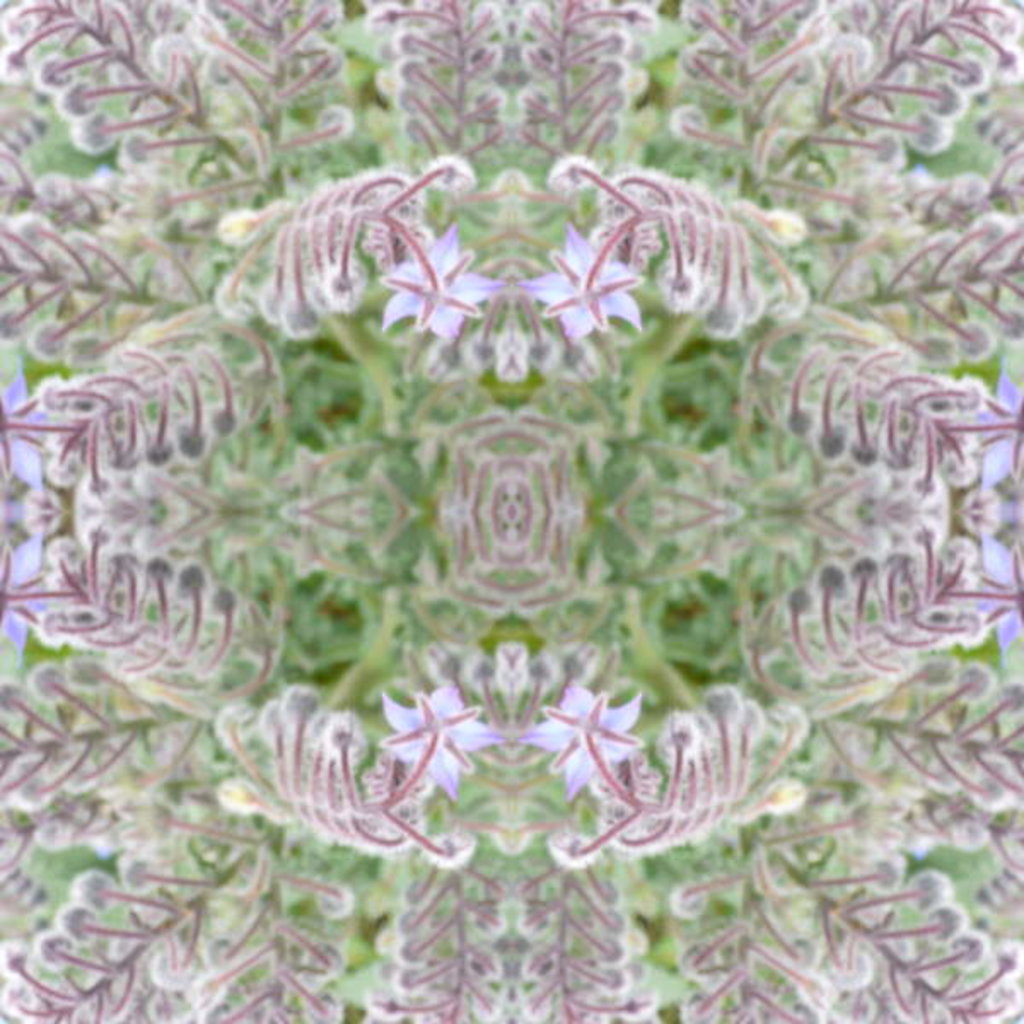 Detail of Unnatural 161 by Giovanni Cafagna