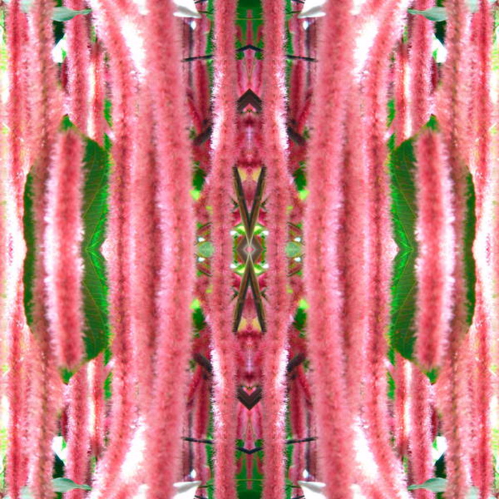 Detail of Unnatural 172 by Giovanni Cafagna