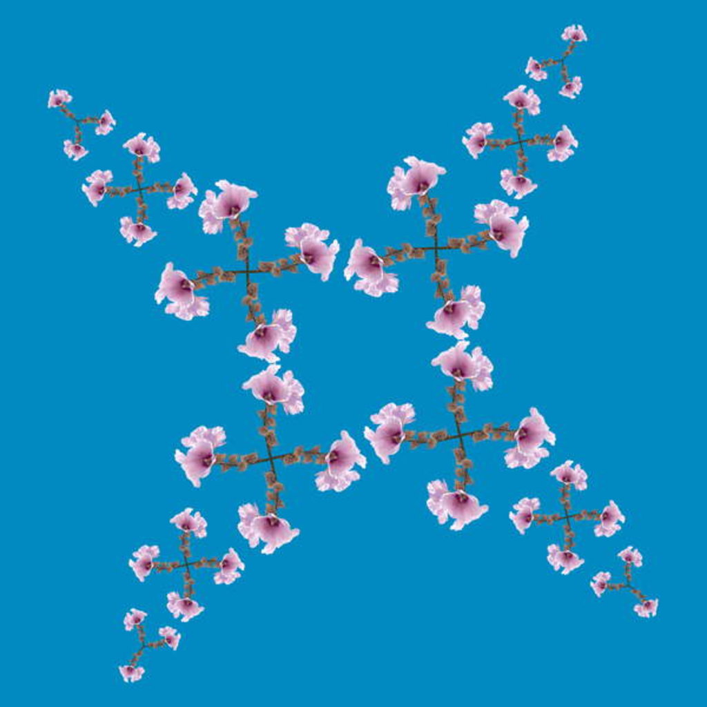 Detail of Unnatural 199.2 by Giovanni Cafagna