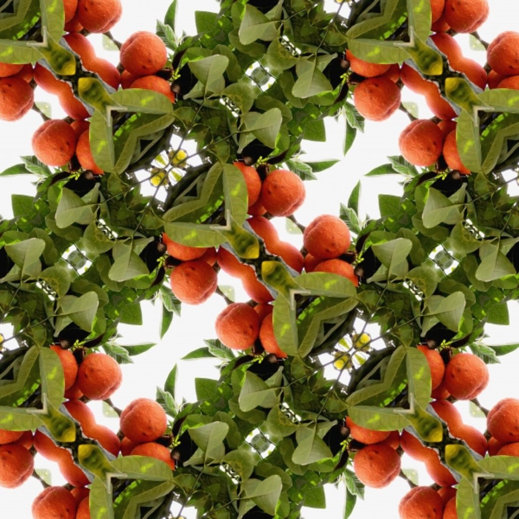 Detail of Unnatural 79 by Giovanni Cafagna