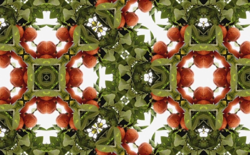 Detail of Unnatural 77 by Giovanni Cafagna