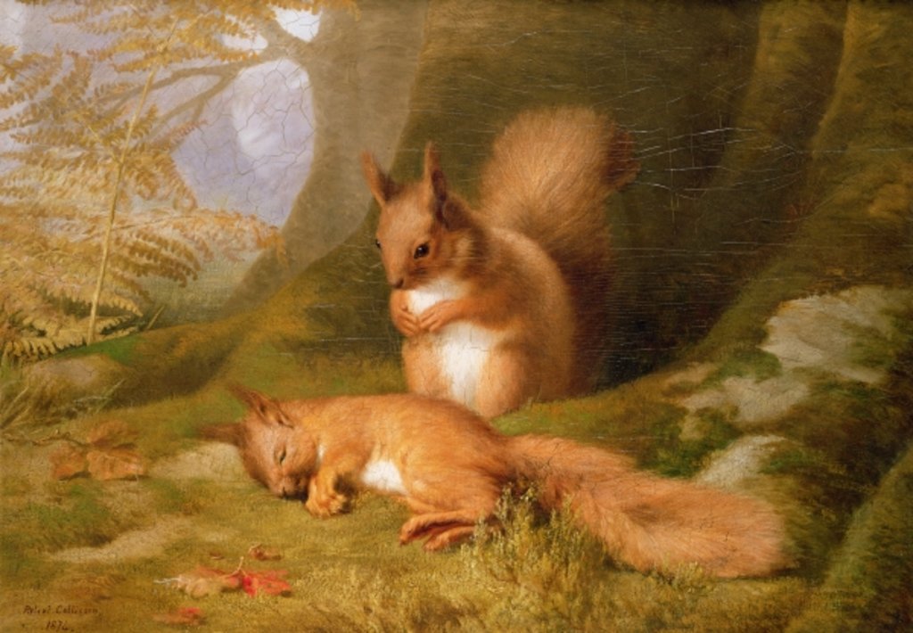 Detail of Squirrels in a Wood, 1874 by Robert Collinson