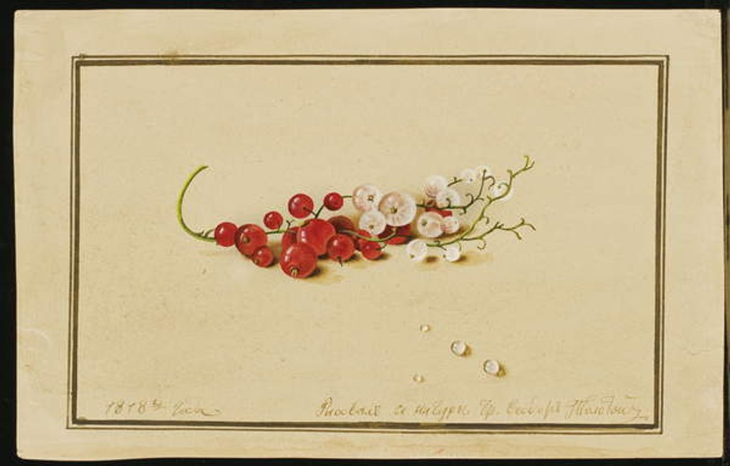 Detail of Red and White Currants, 1818 by Fedor Petrovich Tolstoy
