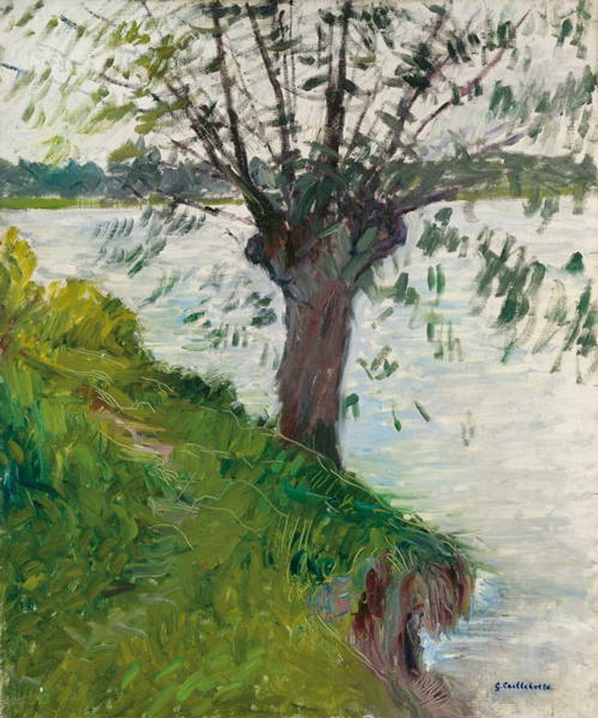 Detail of Willow by the River; Saule au bord de la riviere, c. 1891 by Gustave Caillebotte
