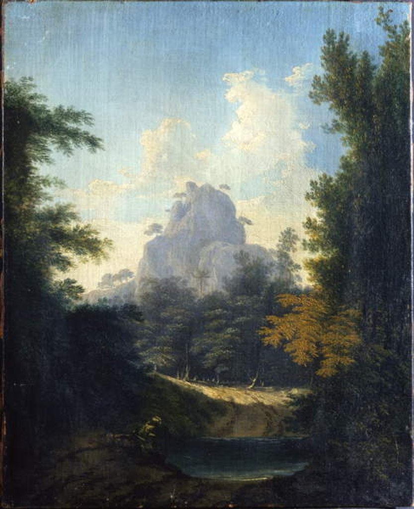 Detail of View in the Jungle Terry, in Bengal by William Hodges