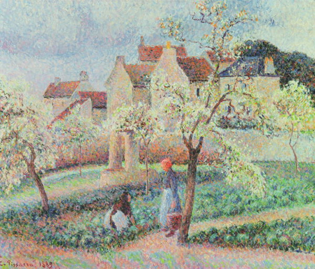 Plum Trees in Flower, 1889 by Camille Pissarro