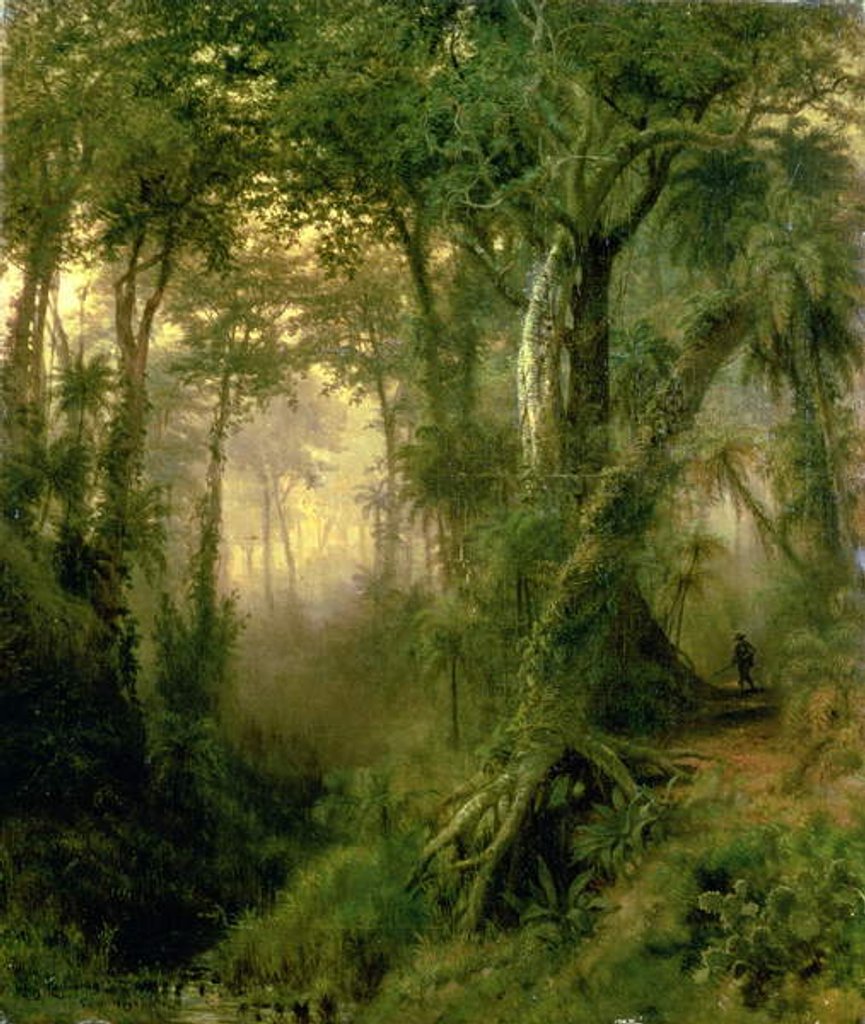 Detail of A Hunter in the Cuban Jungle, Sunrise, 1869 by Henri Cleenewerck