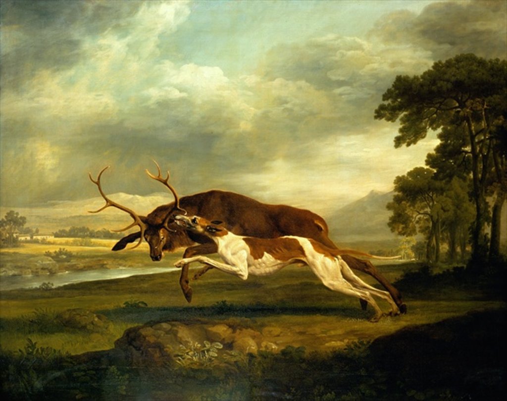 Detail of A Hound attacking a stag by George Stubbs