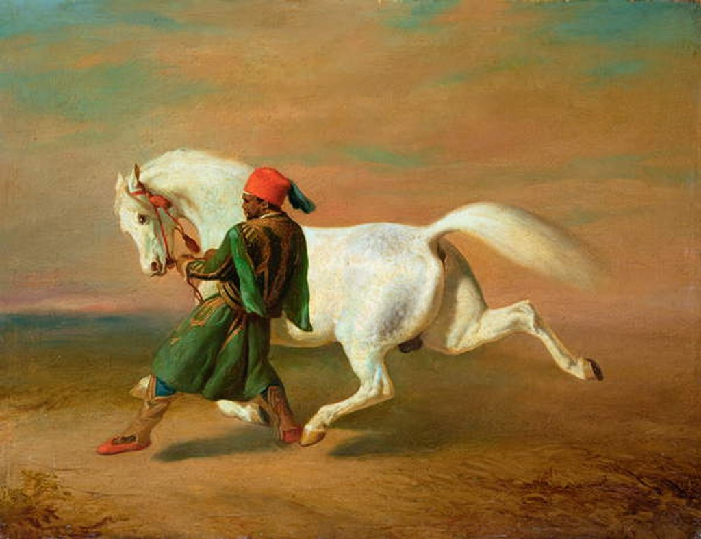 Detail of The Pasha's pride by Alfred Dedreux
