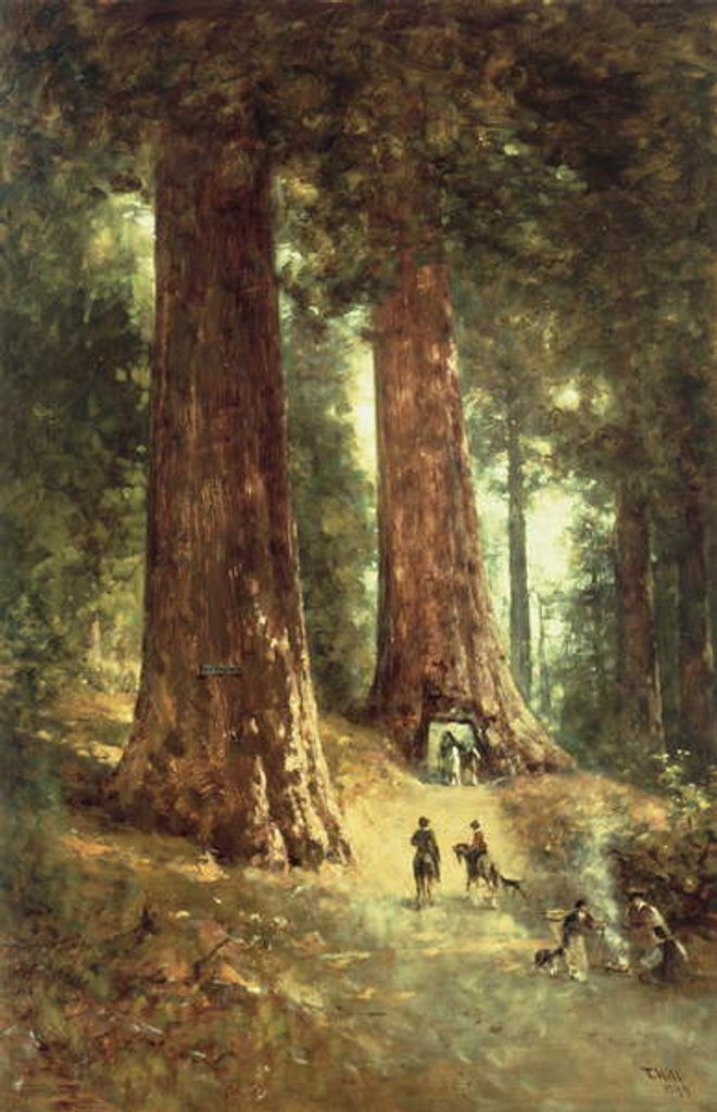 Detail of In the Redwoods, 1899 by Thomas Hill