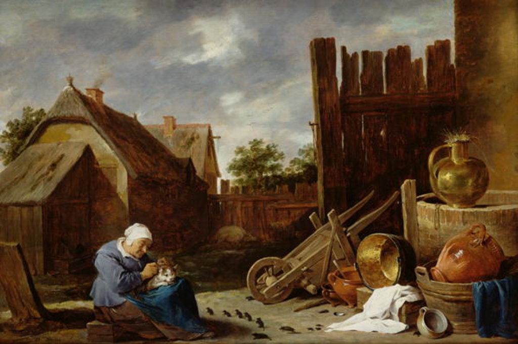 Detail of A cat tended by an old woman by David the Younger Teniers