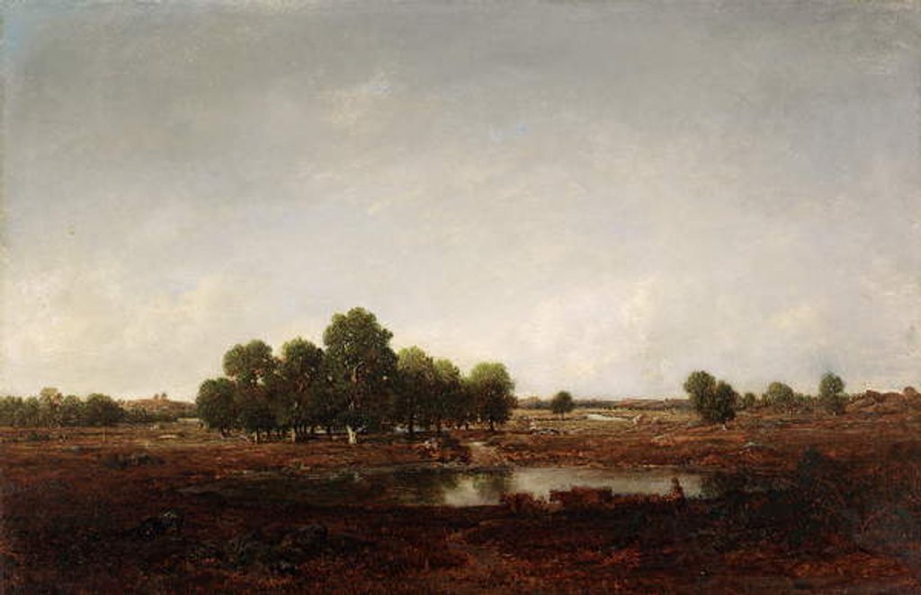 Detail of Landscape with marsh by Theodore Rousseau