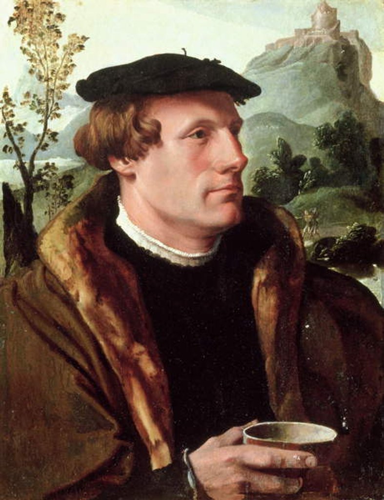 Detail of Portrait of a Gentleman by Maerten van Heemskerck