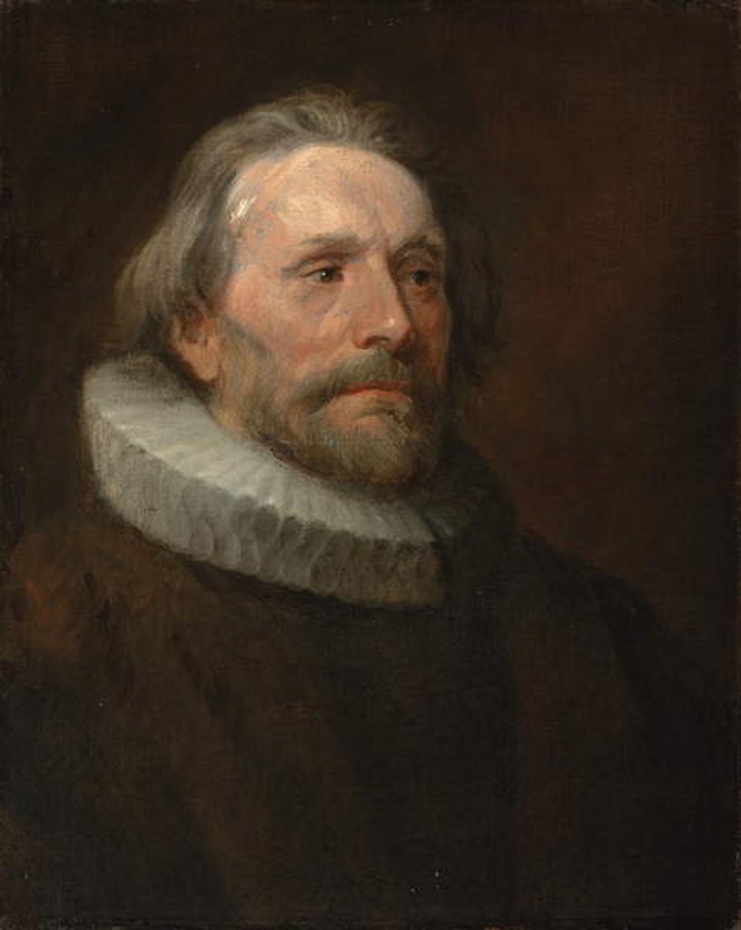 Detail of Head study of a man in a ruff by Anthony van Dyck