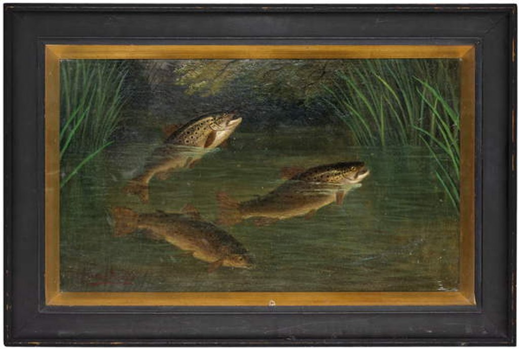 Detail of Trout in a river by A. Roland Knight
