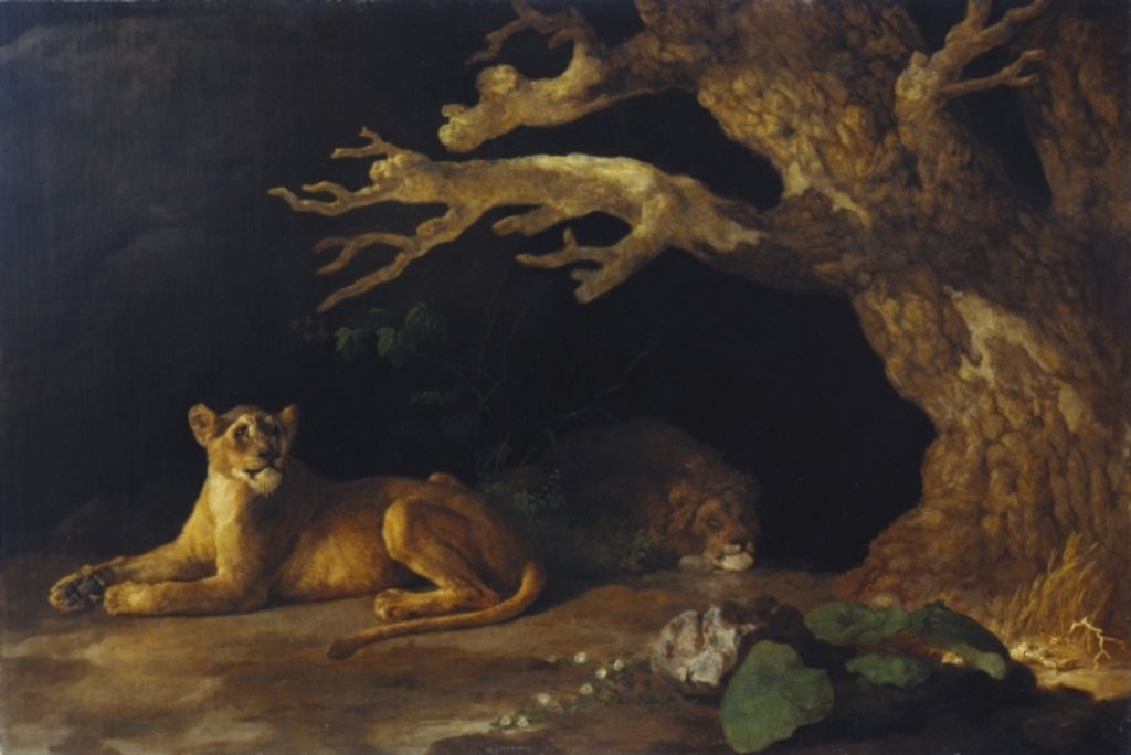 Detail of Lioness and Cave by George Stubbs