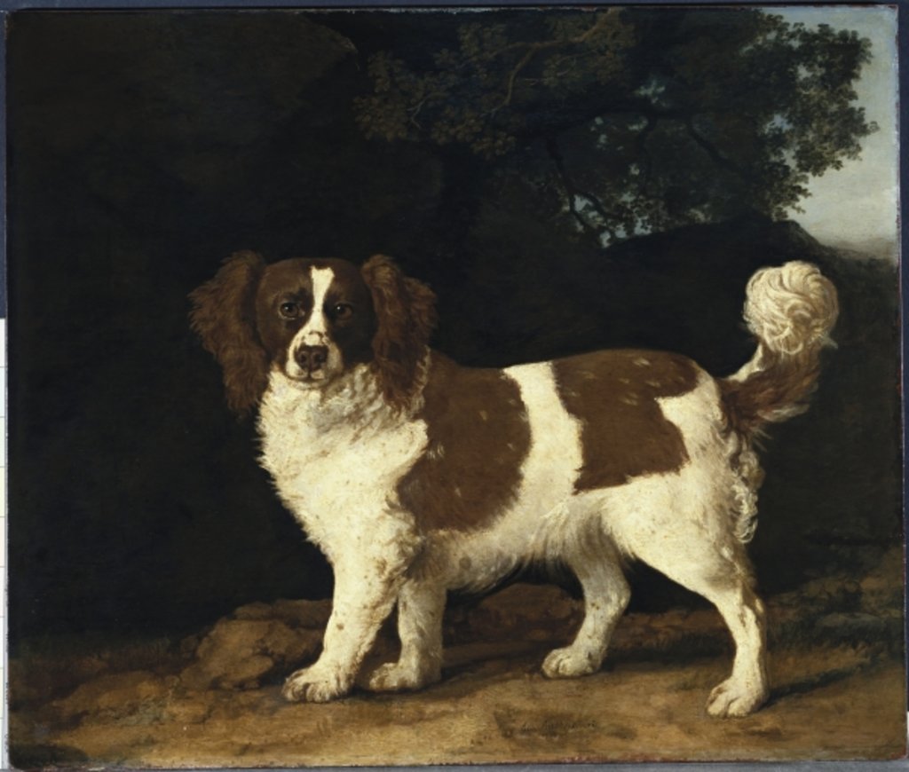 Detail of Fanny, the Favourite Spaniel of Mrs. Musters, Standing in a Wooded Landscape, 1777 by George Stubbs