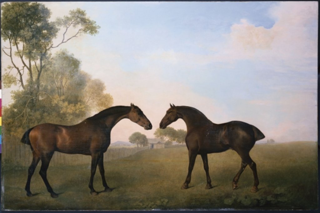 Detail of Two Hunters out at Grass by George Stubbs