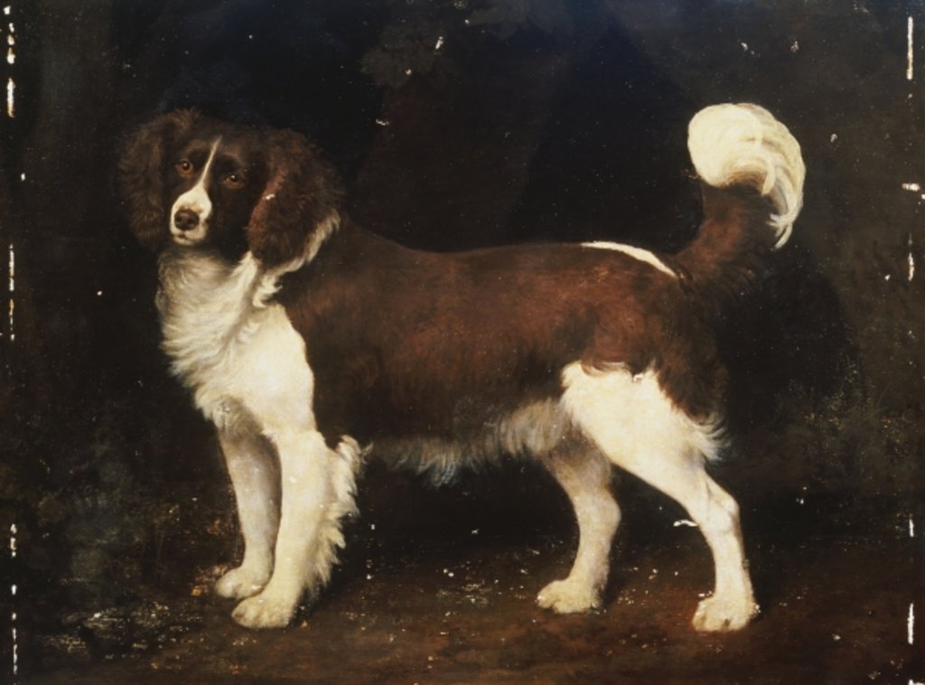 Detail of A Spaniel in a Landscape, 1784 by George Stubbs
