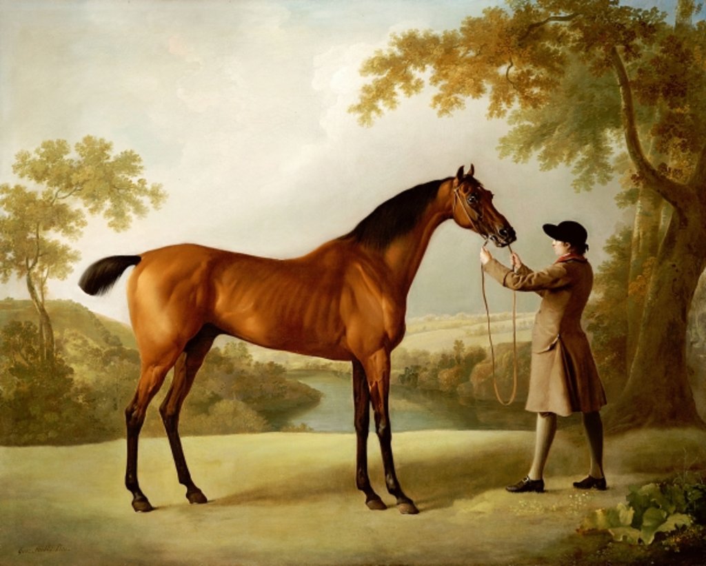 Detail of Tristram Shandy, a Bay Racehorse Held by a Groom in an Extensive Landscape, c.1760 by George Stubbs
