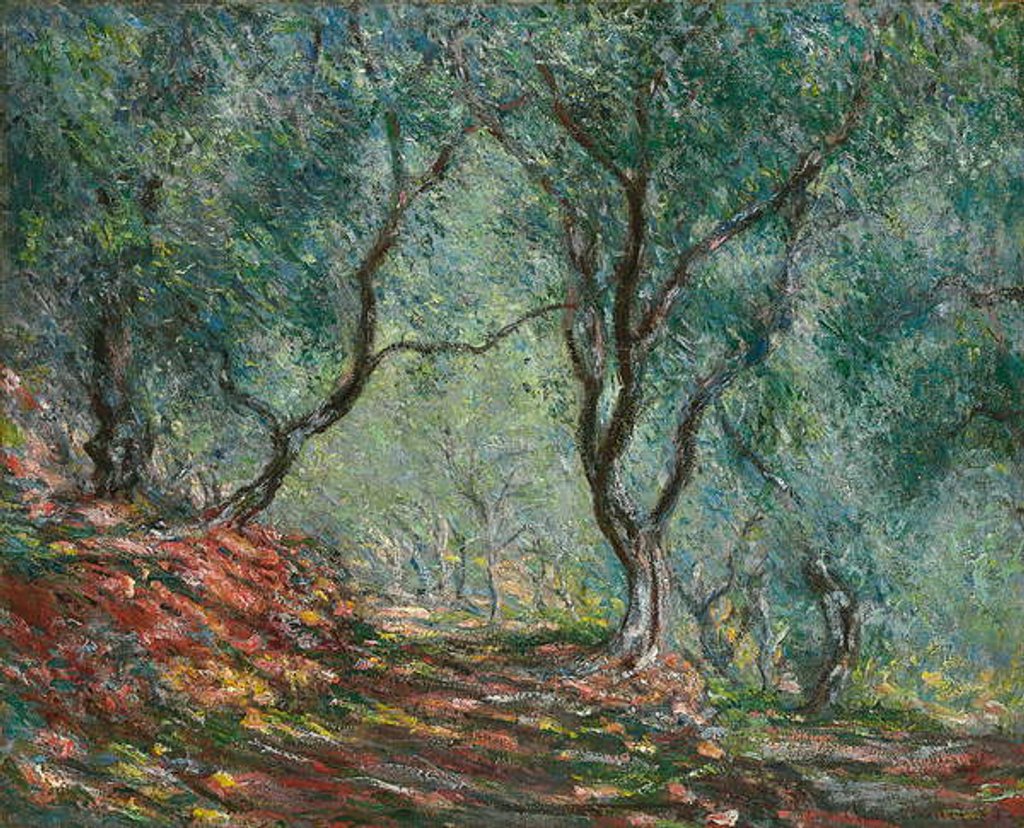 Detail of Olive Trees in the Moreno Garden, 1884 by Claude Monet