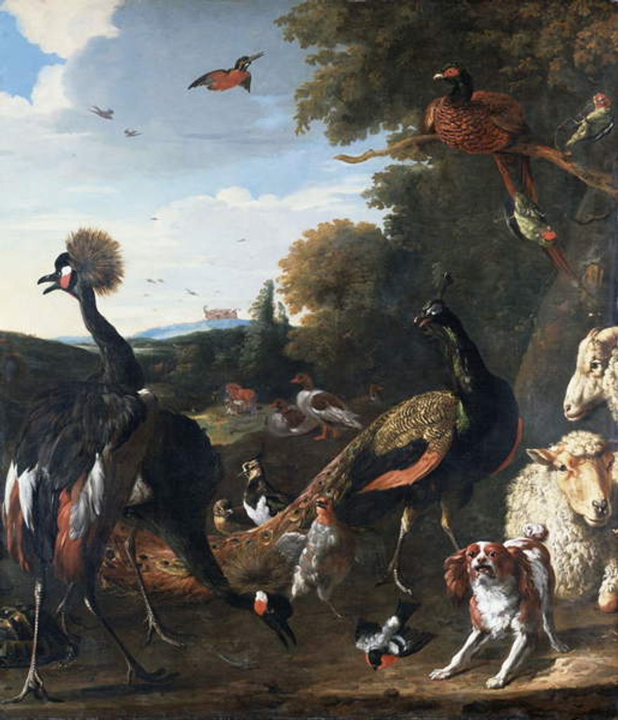 Detail of Peacocks and other birds, with a sheep and dog in a landscape by Melchior de Hondecoeter
