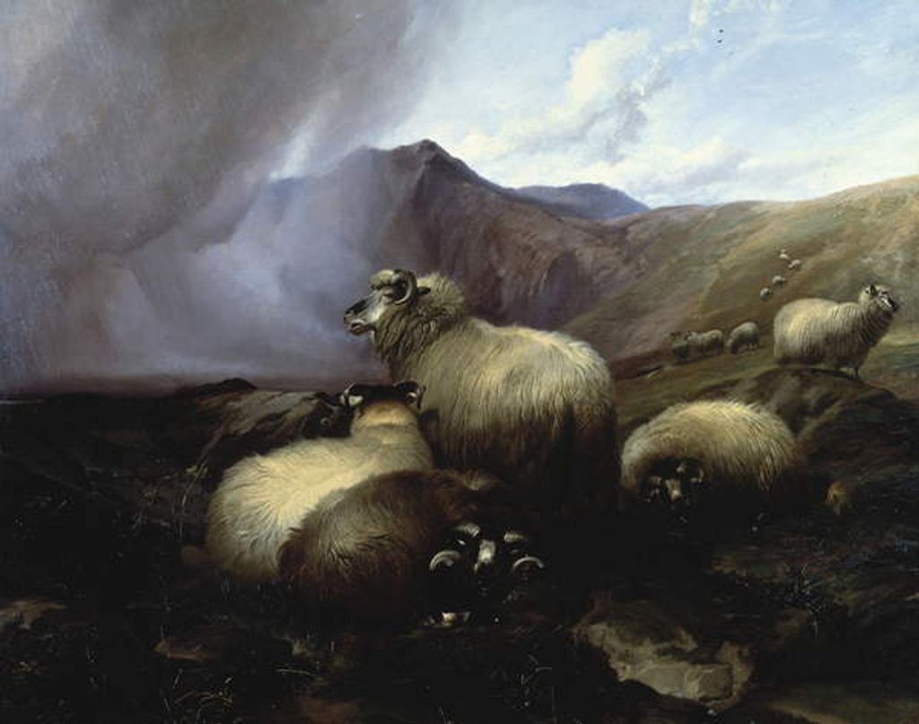 Detail of Highland Sheep in a Mountainous Landscape, 1854 by Thomas Sidney Cooper