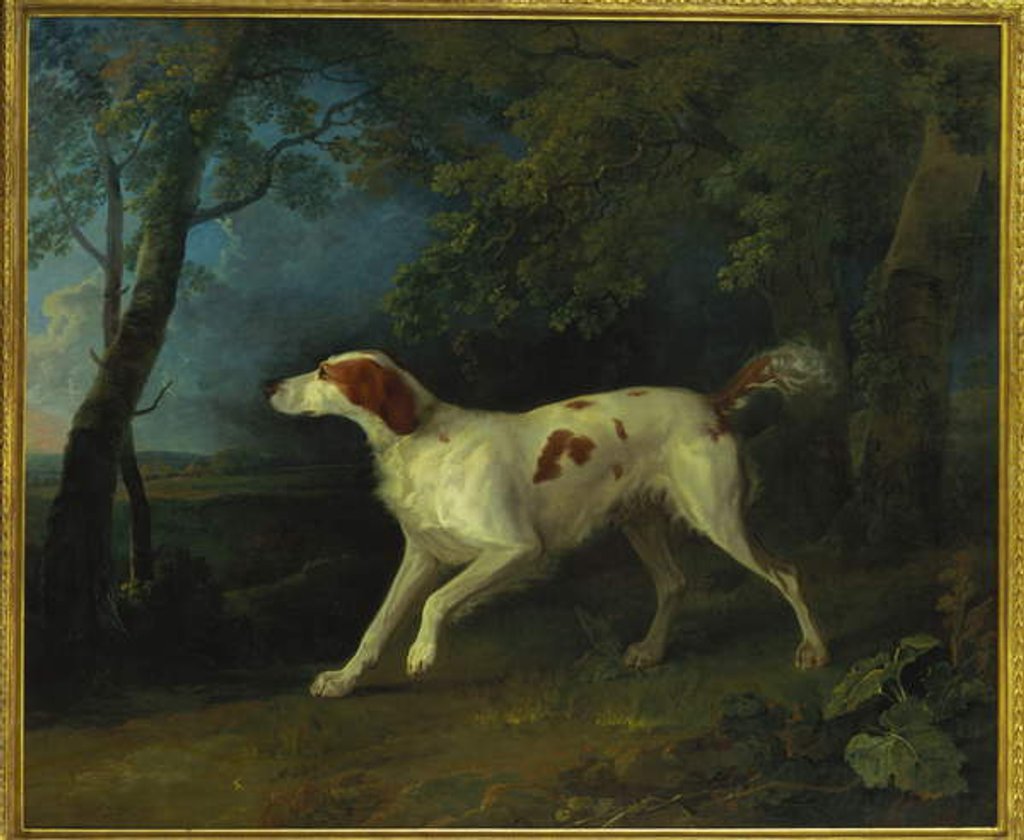 Detail of A brown and white setter in a wooded landscape, 1773 by Sawrey Gilpin