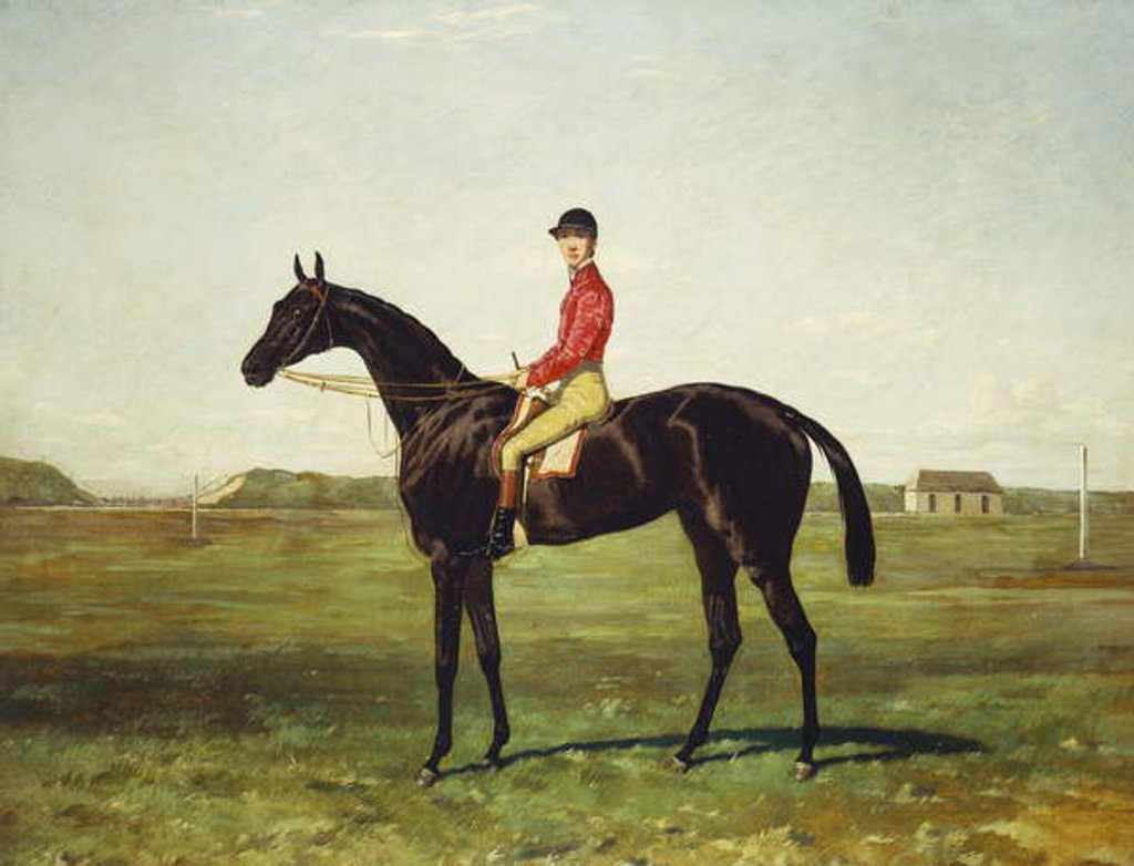 Detail of A Racehorse with Jockey Up on the Racetrack at Newmarket by Harry Hall